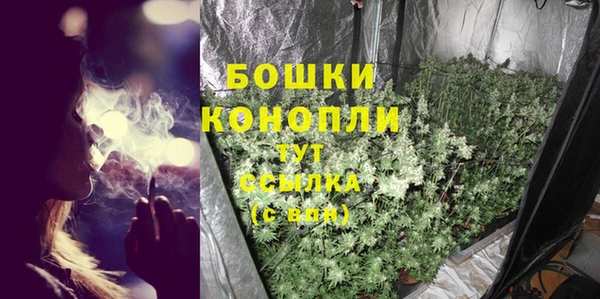 дурь Медвежьегорск