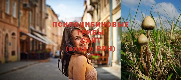дурь Медвежьегорск