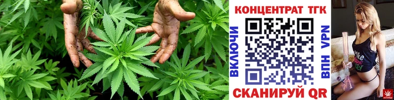 ТГК Wax  Ефремов 