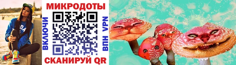Псилоцибиновые грибы мухоморы  Ефремов 