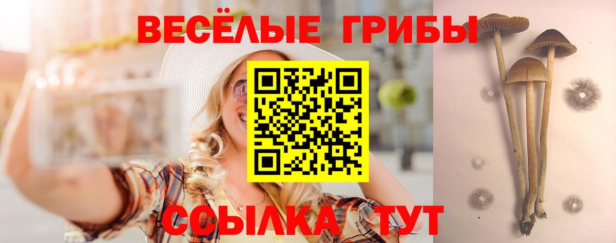 Псилоцибиновые грибы GOLDEN TEACHER Ефремов